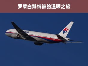 罗莱白鹅绒被的温暖之旅