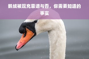 鹅绒被现充靠谱与否，你需要知道的事实