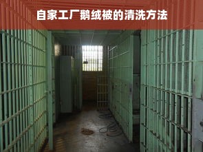 自家工厂鹅绒被的清洗方法