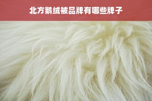 北方鹅绒被品牌有哪些牌子