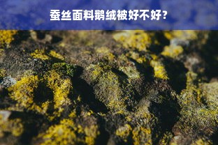 蚕丝面料鹅绒被好不好？