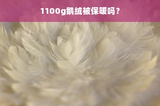 1100g鹅绒被保暖吗？