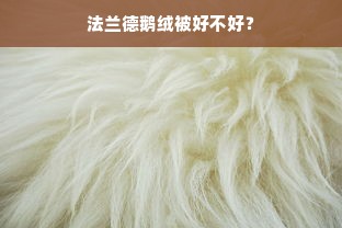 法兰德鹅绒被好不好？