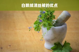 白鹅绒清丝被的优点