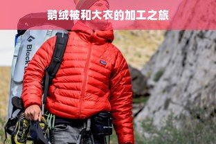 鹅绒被和大衣的加工之旅