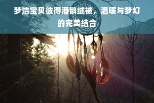 梦洁宝贝彼得潘鹅绒被，温暖与梦幻的完美结合