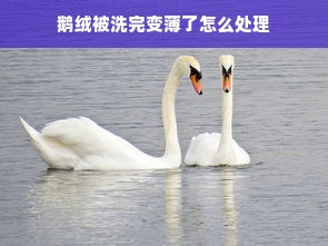 鹅绒被洗完变薄了怎么处理