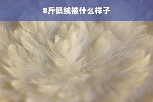 8斤鹅绒被什么样子