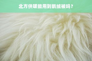 北方供暖能用到鹅绒被吗？