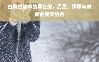 白鹅绒被中的黑色绒，品质、保暖与时尚的完美结合