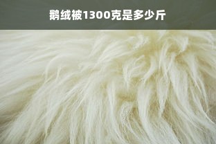 鹅绒被1300克是多少斤