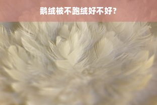 鹅绒被不跑绒好不好？