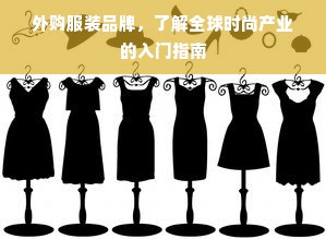 外购服装品牌，了解全球时尚产业的入门指南