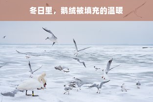 冬日里，鹅绒被填充的温暖