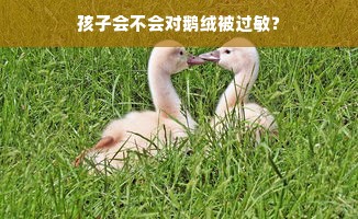 孩子会不会对鹅绒被过敏？