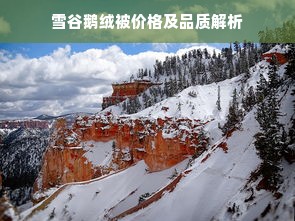 雪谷鹅绒被价格及品质解析