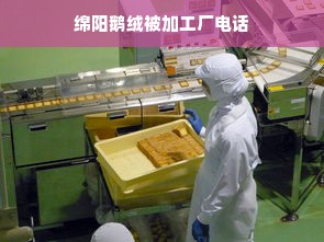 绵阳鹅绒被加工厂电话