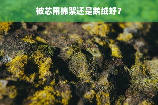 被芯用棉絮还是鹅绒好？