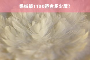 鹅绒被1100适合多少度？