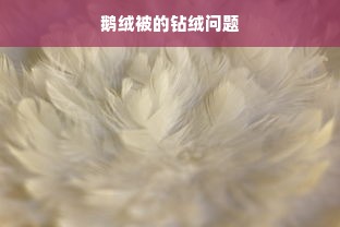 鹅绒被的钻绒问题