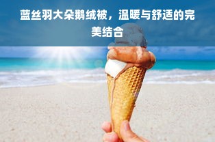 蓝丝羽大朵鹅绒被，温暖与舒适的完美结合