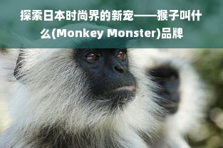 探索日本时尚界的新宠——猴子叫什么(Monkey Monster)品牌