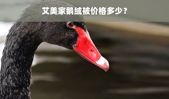 艾美家鹅绒被价格多少？