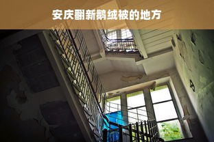 安庆翻新鹅绒被的地方