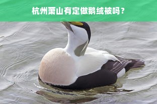 杭州萧山有定做鹅绒被吗？