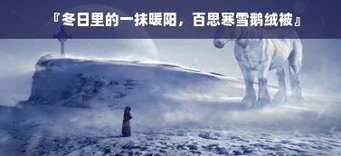 『冬日里的一抹暖阳，百思寒雪鹅绒被』