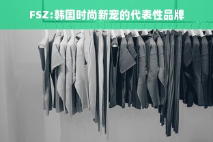 FSZ:韩国时尚新宠的代表性品牌