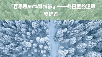 『百思寒97%鹅绒被』——冬日里的温暖守护者