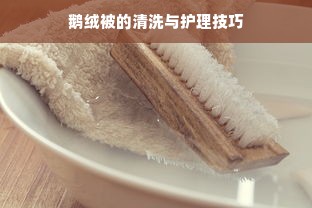 鹅绒被的清洗与护理技巧