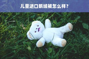 儿童进口鹅绒被怎么样？