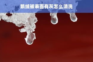 鹅绒被表面有灰怎么清洗