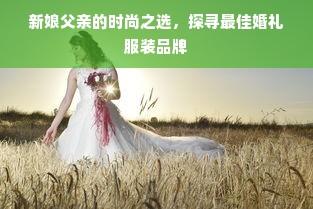 新娘父亲的时尚之选，探寻最佳婚礼服装品牌