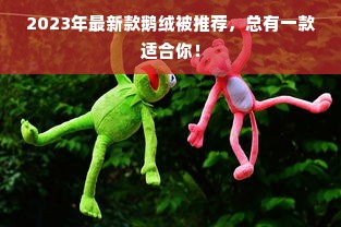 2023年最新款鹅绒被推荐，总有一款适合你！