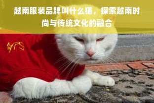 越南服装品牌叫什么猫，探索越南时尚与传统文化的融合