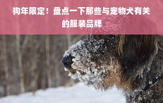 狗年限定！盘点一下那些与宠物犬有关的服装品牌