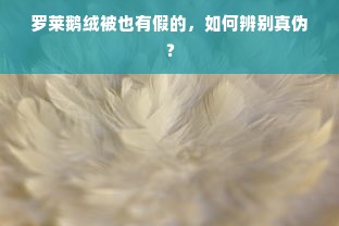 罗莱鹅绒被也有假的，如何辨别真伪？