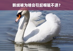 鹅绒被为啥会引起喉咙不适？