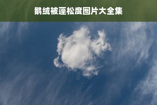 鹅绒被蓬松度图片大全集