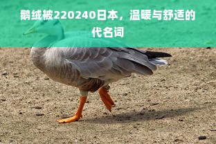 鹅绒被220240日本，温暖与舒适的代名词