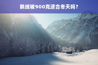 鹅绒被900克适合冬天吗？