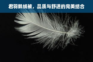 君羽鹅绒被，品质与舒适的完美结合