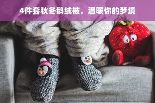 4件套秋冬鹅绒被，温暖你的梦境