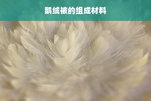 鹅绒被的组成材料