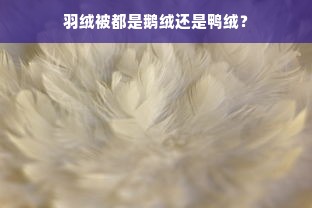 羽绒被都是鹅绒还是鸭绒？