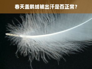 春天盖鹅绒被出汗是否正常？