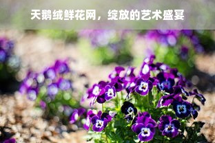 天鹅绒鲜花网，绽放的艺术盛宴